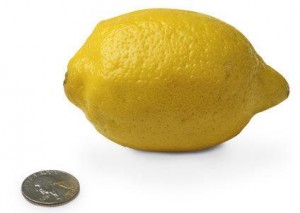 14-lemon